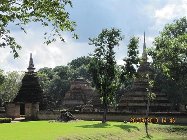 Large_0823