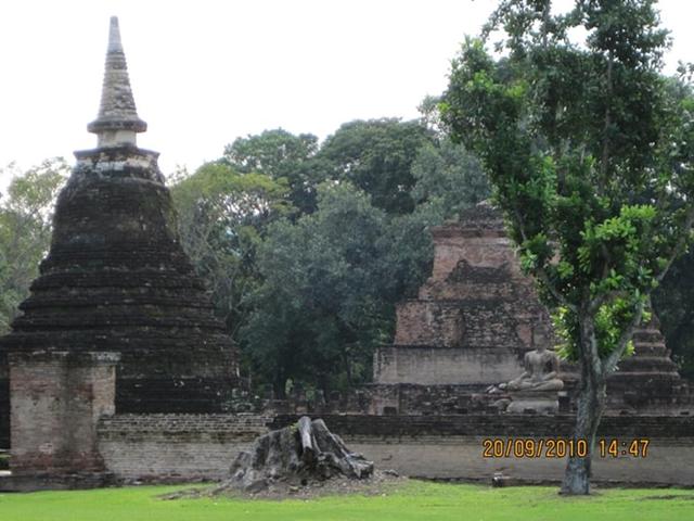 Large_0826
