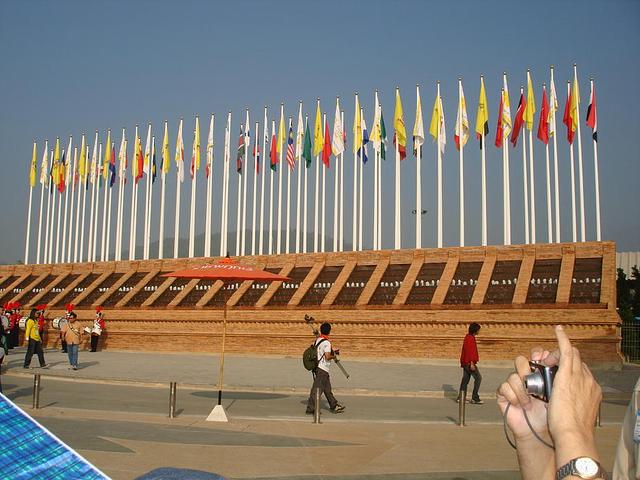 Large_dsc01345