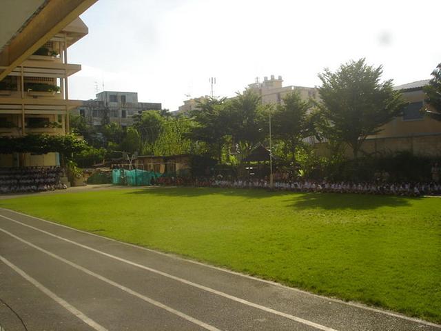 Large_vbm10