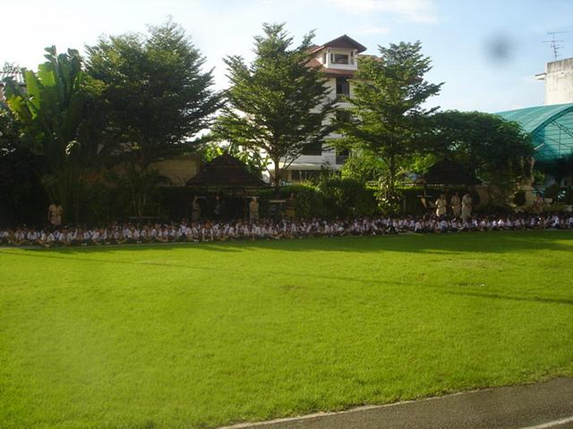 Large_vbm10