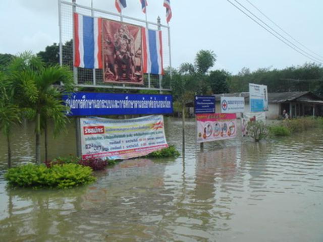 Large_dsc00425