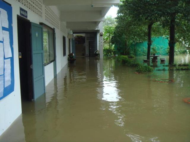 Large_dsc00431