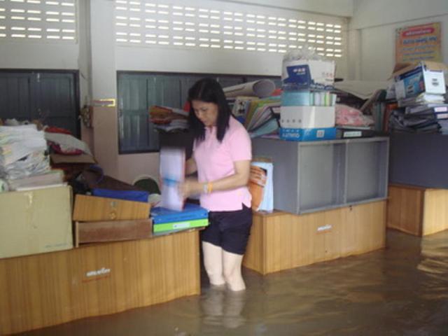 Large_dsc00446