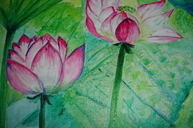 Large_dsc00094