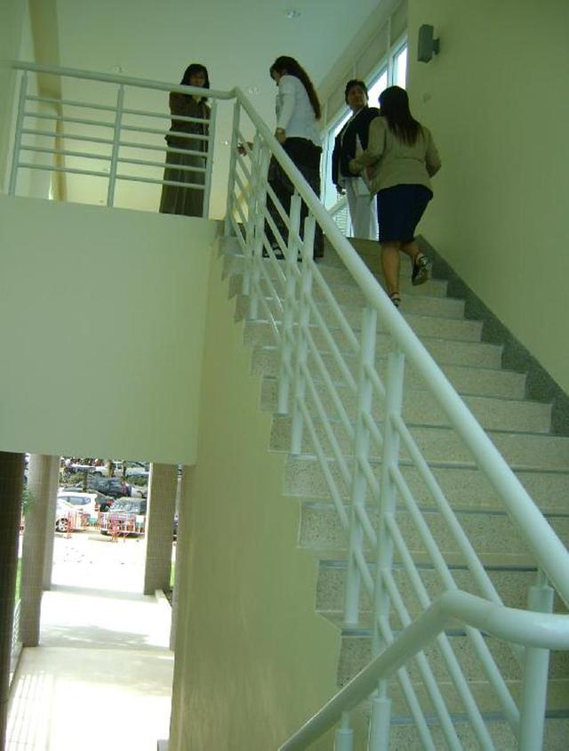 Large_mnr5