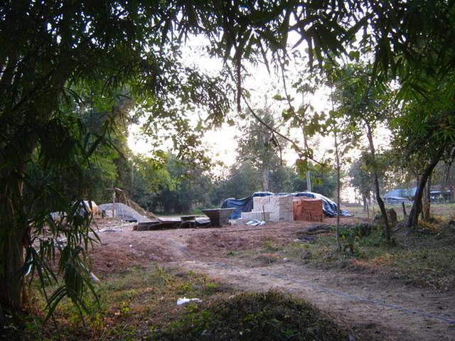 Large_1601201102