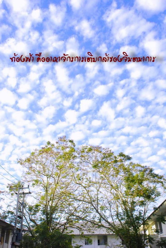 Large_dsc_2520