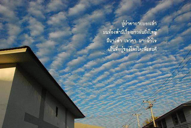 Large_dsc_2525