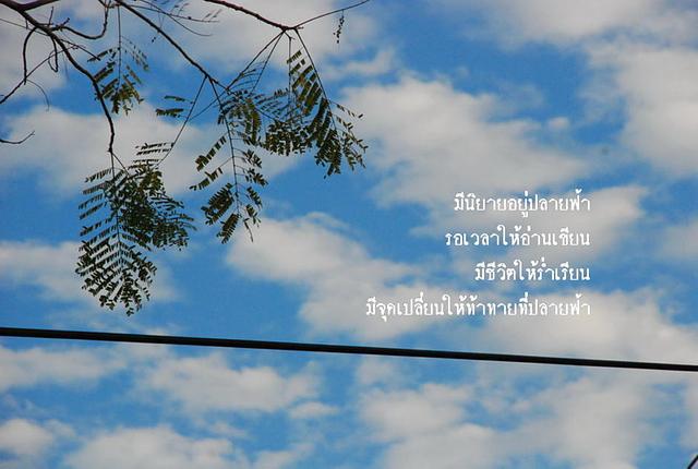 Large_dsc_2545