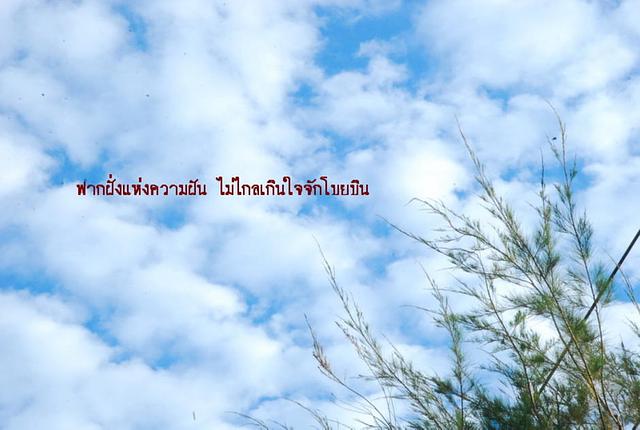 Large_dsc_2634