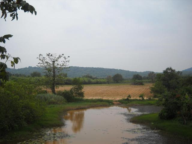 Large_tm267
