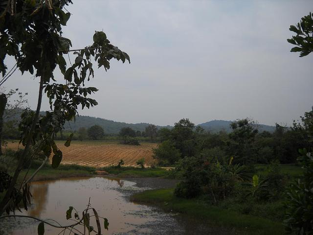 Large_tm268