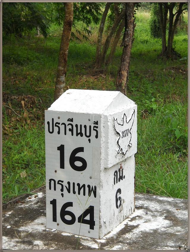 Large_fw486