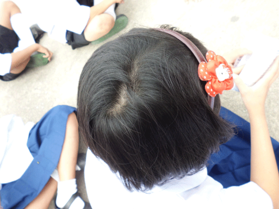 สีสดใส