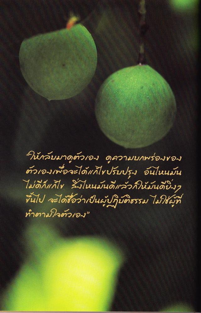 Large_treasure04