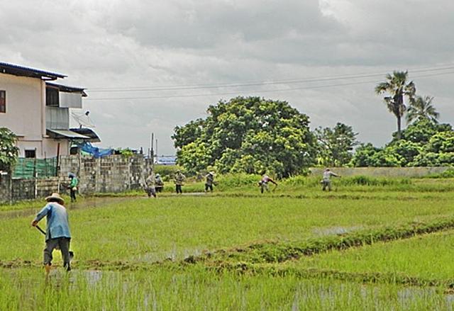 Large_food_security_welfare_1