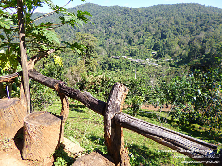 http://cdn.gotoknow.org/assets/media/files/000/857/017/original_RoadtoDoiMonNgao_17.jpg?1355073779