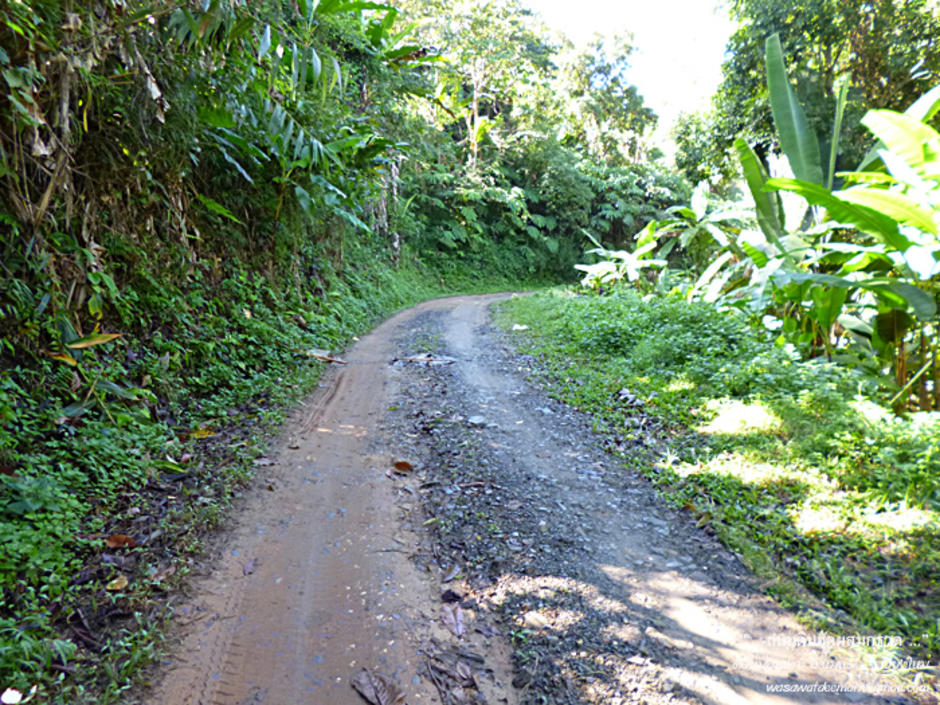 http://cdn.gotoknow.org/assets/media/files/000/857/026/original_RoadtoDoiMonNgao_23.jpg?1355075430