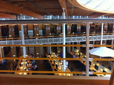 ภายในห้องสมุดของคณะนิติศาสตร์ มหาวิทยาลัยไลเดน
