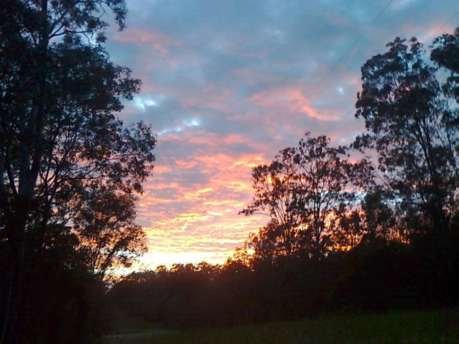 Photo0199.jpg