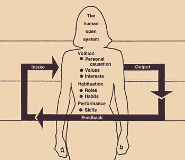 เมื่อเด็กทานคุกกี้ง่ายๆ แต่มาวิเคราะห์ตาม Model of Human Occupation