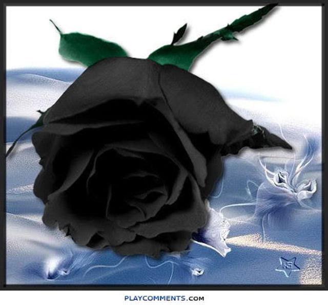 My Image 34
