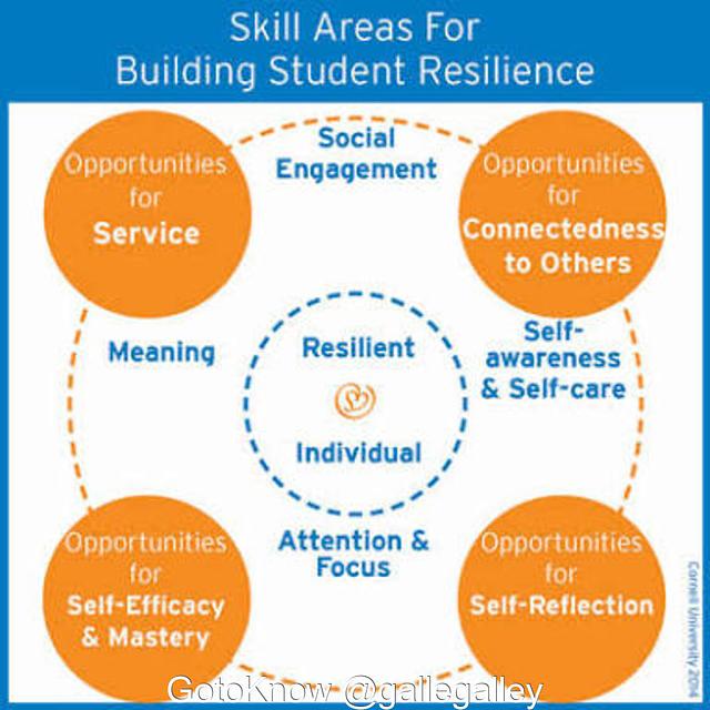 Resilience Skill - GotoKnow