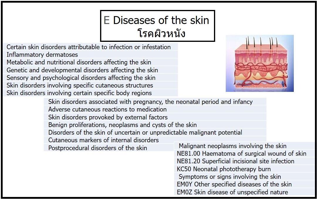 ICD11 บทที่ 14 โรคผิวหนัง GotoKnow
